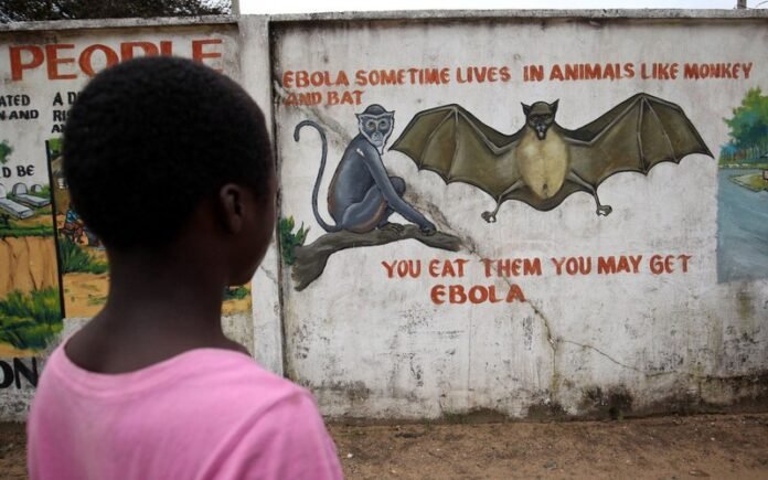 who-says-906-suspected-cases-and-223-suspected-deaths-from-bundibugyo-strain-of-ebola