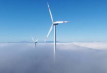 instead-of-expanding-gas,-the-uae-should-help-indonesia-build-offshore-wind