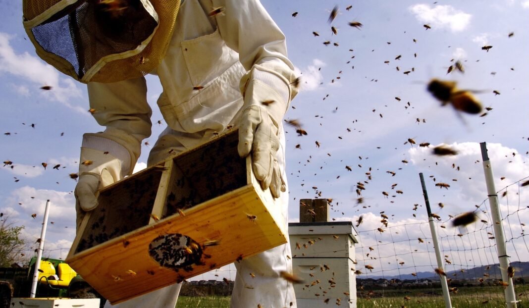 the-fight-to-protect-pollinators-and-people-from-the-‘pesticides-that-are-everywhere’ the-fight-to-protect-pollinators-and-people-from-the-‘pesticides-that-are-everywhere’