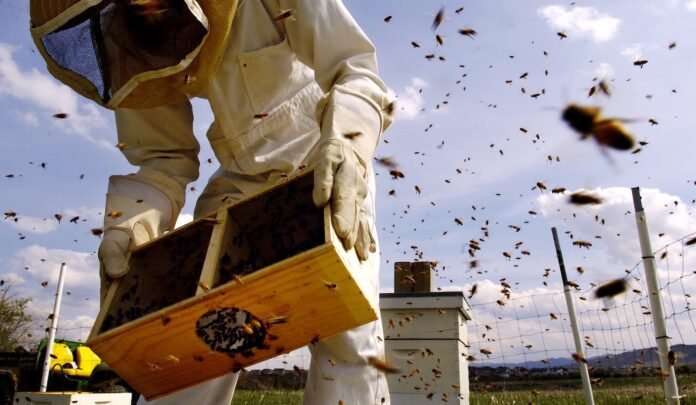 the-fight-to-protect-pollinators-and-people-from-the-‘pesticides-that-are-everywhere’