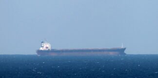 shipping-leaders-demand-clear-rules-before-returning-to-strait-of-hormuz