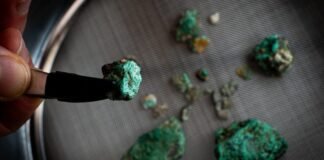 why-cats-prefer-silver-vine-to-catnip-and-other-may-highlights
