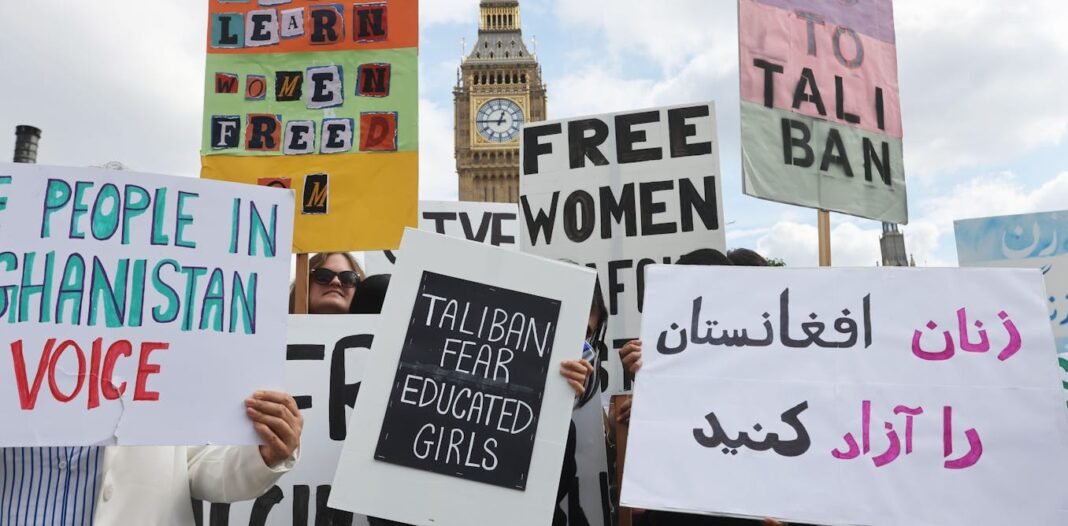 what-happened-to-afghanistan’s-female-academics?