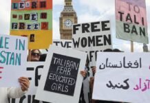 what-happened-to-afghanistan’s-female-academics?