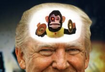 trump-plan-to-test-ai-models-has-a-problem—us-security-teams-were-gutted-by-doge