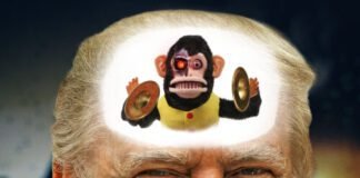 trump-plan-to-test-ai-models-has-a-problem—us-security-teams-were-gutted-by-doge