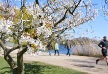 your-local-park-is-bringing-in-the-green-(and-by-that,-we-mean-money)