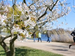 your-local-park-is-bringing-in-the-green-(and-by-that,-we-mean-money)