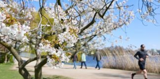 your-local-park-is-bringing-in-the-green-(and-by-that,-we-mean-money)