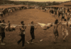 ‘Pig Feast’: the film Jakarta doesn’t want you to see ‘pig-feast’:-the-film-jakarta-doesn’t-want-you-to-see