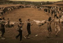 ‘Pig Feast’: the film Jakarta doesn’t want you to see ‘pig-feast’:-the-film-jakarta-doesn’t-want-you-to-see