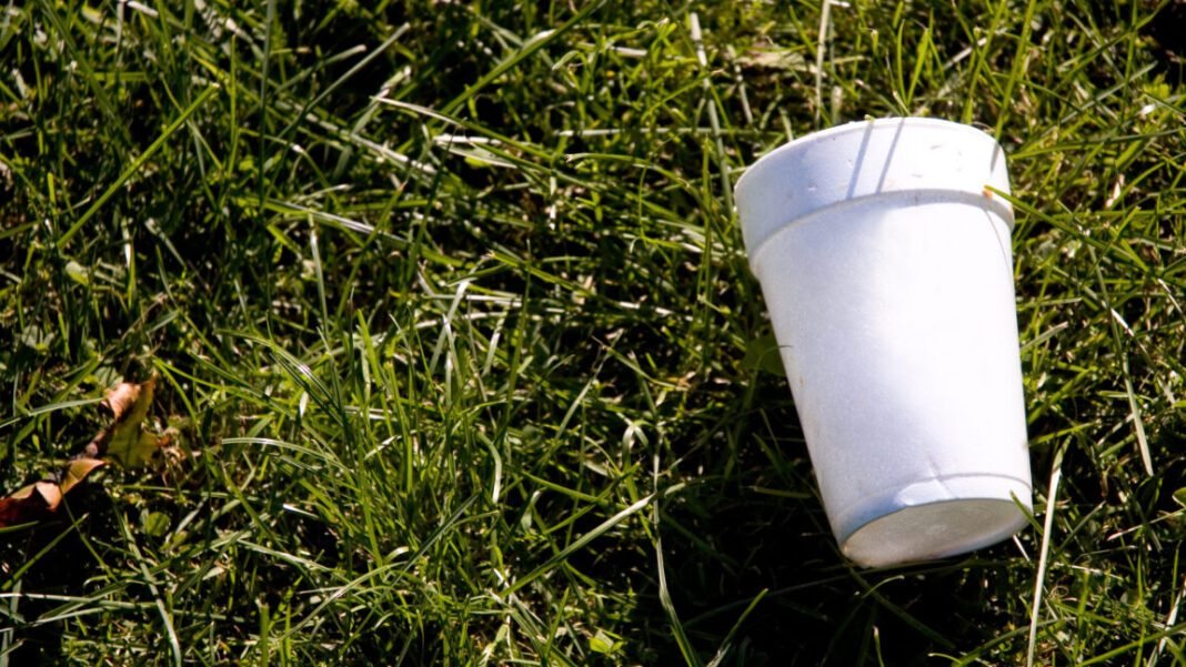 your-empty-cuppa-could-capture-carbon