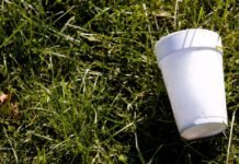your-empty-cuppa-could-capture-carbon