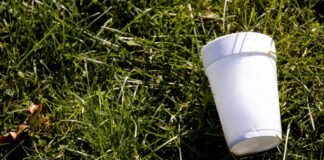your-empty-cuppa-could-capture-carbon