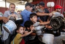 un-warns-of-‘immense’-humanitarian-needs-as-israel-allows-only-one-crossing-into-gaza