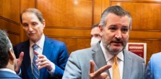 ted-cruz-and-ron-wyden-try-to-fight-censorship-with-bipartisan-jawbone-act