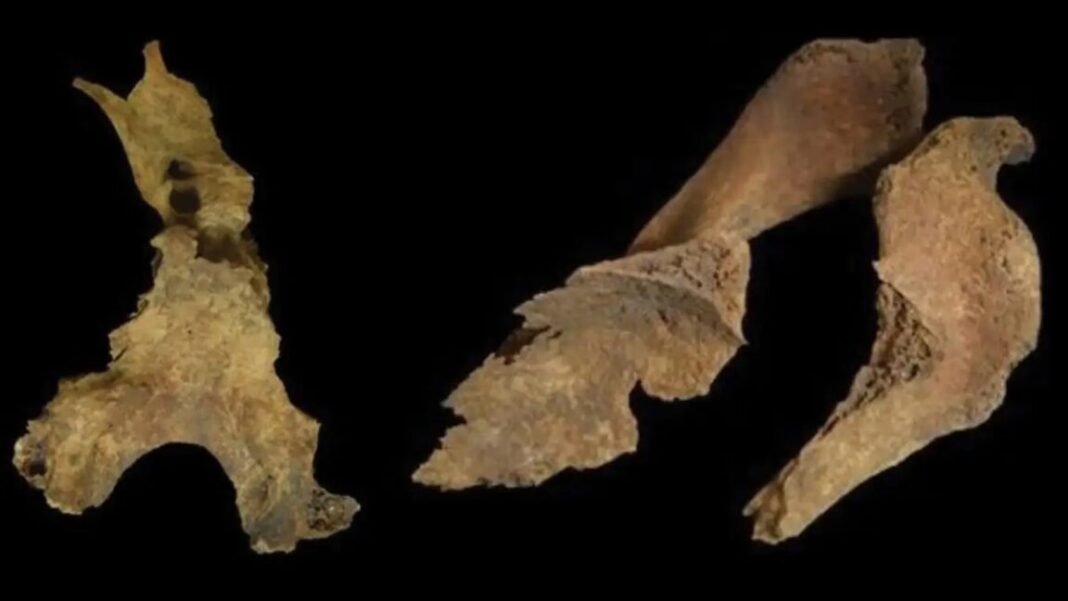 did-iron-age-britons-remove-brains-of-the-dead? did-iron-age-britons-remove-brains-of-the-dead?