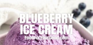 blueberry-ice-cream