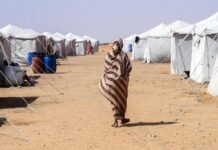 ‘Every day it’s more barriers’: how the US is shutting out climate refugees ‘every-day-it’s-more-barriers’:-how-the-us-is-shutting-out-climate-refugees