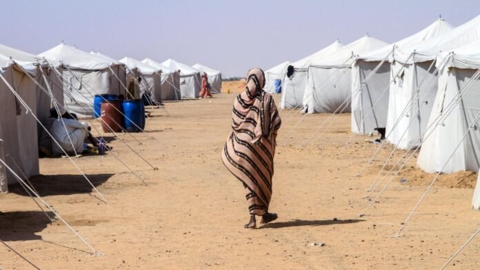 ‘every-day-it’s-more-barriers’:-how-the-us-is-shutting-out-climate-refugees