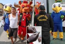 police-dress-as-world-cup-mascots-in-wild-drug-raid