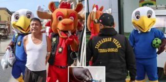 police-dress-as-world-cup-mascots-in-wild-drug-raid