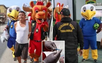 police-dress-as-world-cup-mascots-in-wild-drug-raid