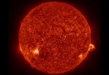 good-news—we-have-extra-time-before-the-sun-ends-life-on-earth