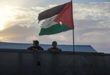 Iran vows continued support for Palestine, says foreign ministry adviser iran-vows-continued-support-for-palestine,-says-foreign-ministry-adviser