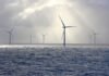 trump-admin-abandons-fight-against-wind-energy-as-clean-energy-output-surges