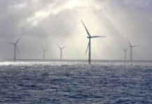 trump-admin-abandons-fight-against-wind-energy-as-clean-energy-output-surges