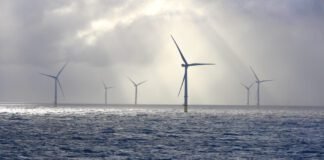 trump-admin-abandons-fight-against-wind-energy-as-clean-energy-output-surges
