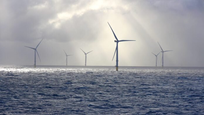 trump-admin-abandons-fight-against-wind-energy-as-clean-energy-output-surges trump-admin-abandons-fight-against-wind-energy-as-clean-energy-output-surges