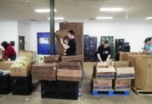 More Than 770,000 Children Are No Longer Receiving SNAP Benefits After Trump Changes Federal Food Program more-than-770,000-children-are-no-longer-receiving-snap-benefits-after-trump-changes-federal-food-program