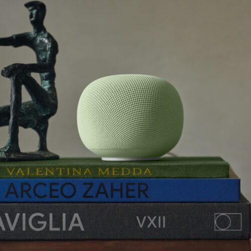 ten-months-later,-the-$100-google-home-speaker-is-finally-available-for-preorder