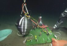 after-senate-vote,-trump-admin-backs-off-plans-to-kill-ocean-monitoring