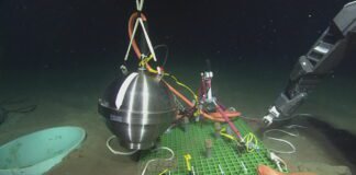after-senate-vote,-trump-admin-backs-off-plans-to-kill-ocean-monitoring