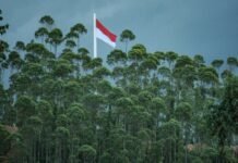 indonesia-needs-not-only-gcc-investors,-but-also-bankable-green-projects