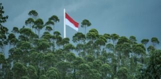 indonesia-needs-not-only-gcc-investors,-but-also-bankable-green-projects