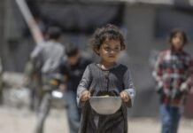 EU rejects Israel’s Gaza territory plans, demands immediate crossing access eu-rejects-israel’s-gaza-territory-plans,-demands-immediate-crossing-access