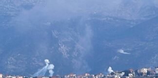 medico:-israel’s-white-phosphorus-and-glyphosate-point-back-to-germany’s-bayer-group