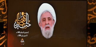 hezbollah-rejects-israel’s-‘free-rein’-to-carry-out-attacks-amid-lebanon-ceasefire