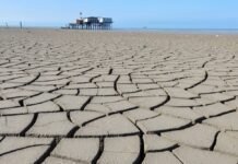 the-caspian-sea-has-lost-an-area-nearly-the-size-of-sicily:-human-activities-are-a-major-reason-why