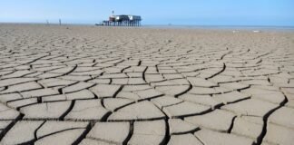 the-caspian-sea-has-lost-an-area-nearly-the-size-of-sicily:-human-activities-are-a-major-reason-why