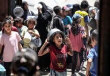 UN committee warns Palestinian children increasingly unprotected amid pressure on rights groups un-committee-warns-palestinian-children-increasingly-unprotected-amid-pressure-on-rights-groups