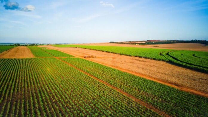 everyone-pays-the-price-as-patent-holders-on-seeds-stifle-innovation