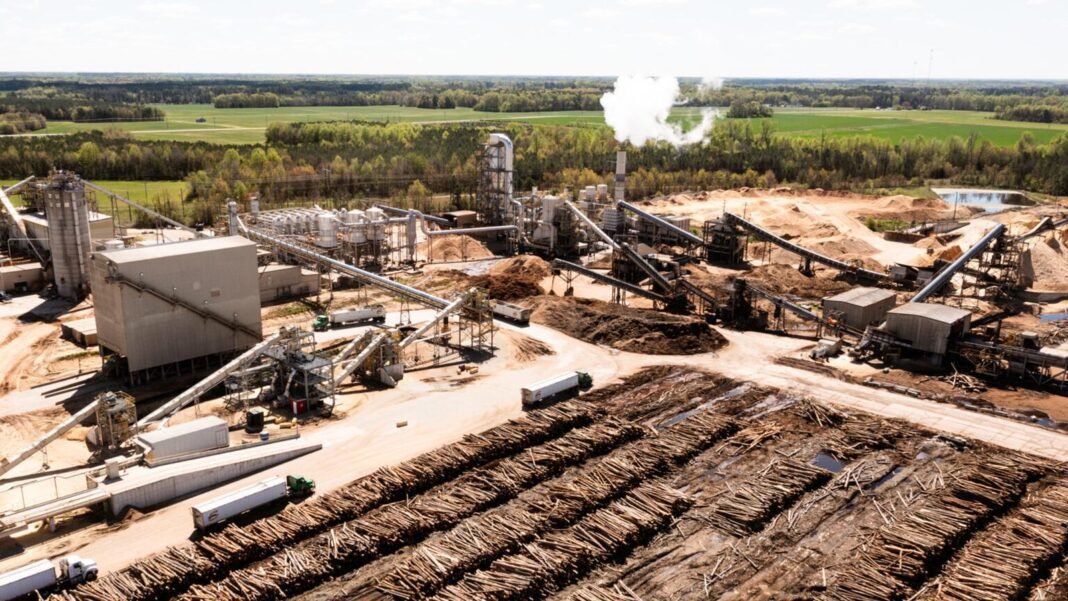 the-hidden-toll-of-wood-pellet-power