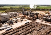 the-hidden-toll-of-wood-pellet-power