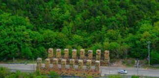 us-fights-the-battles-south-korean-conservatives-have-abandoned