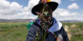 indigenous-cultural-practices-are-a-climate-solution,-report-finds